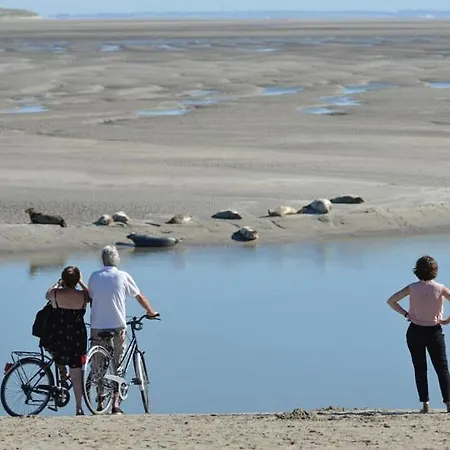 Balneo, Sauna Avec Vue A 100m De La Berck